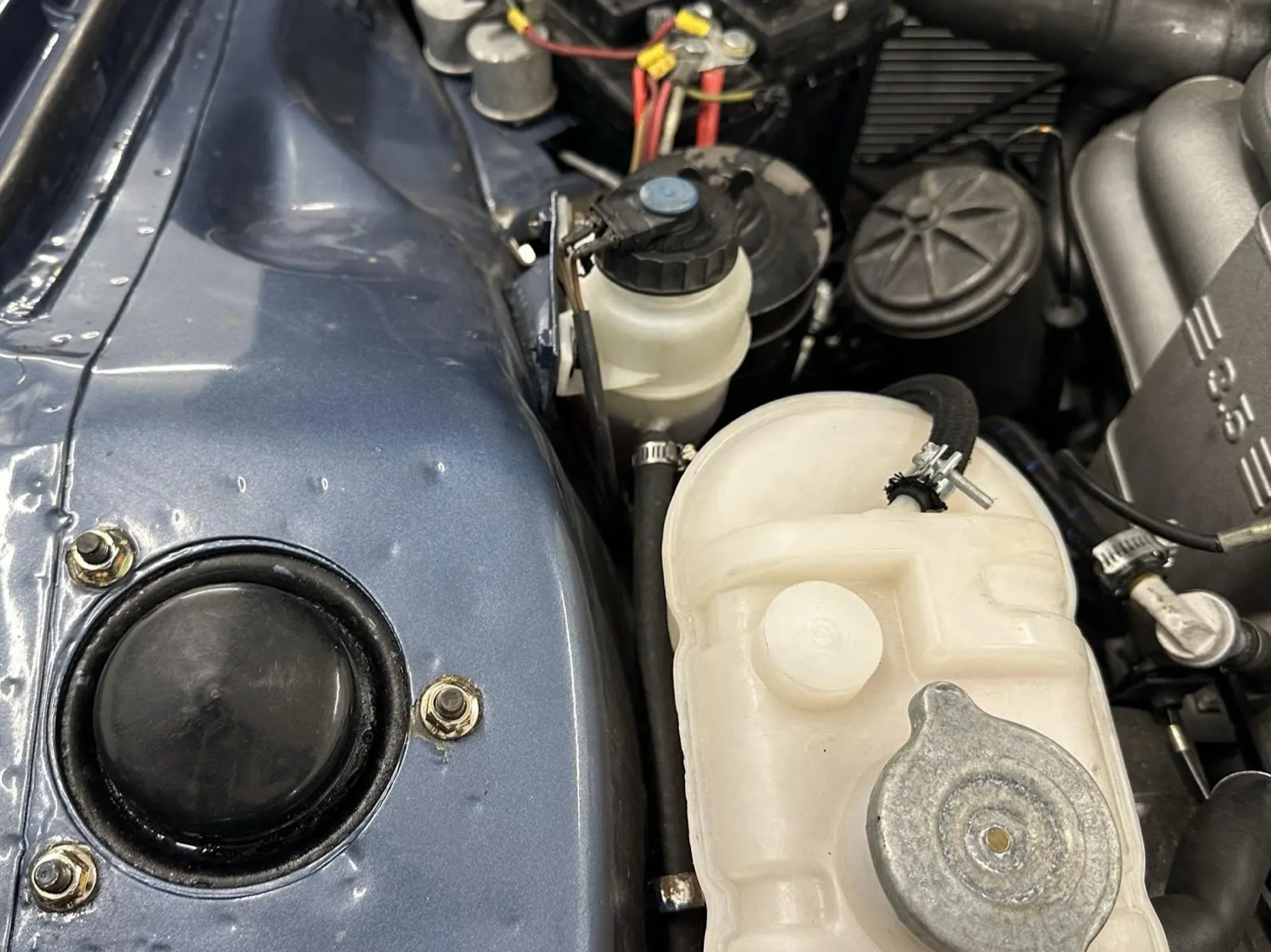 0DB27029-3972-419D-B2E6-1DA9061642A0.jpeg 0DB27029-3972-419D-B2E6-1DA9061642A0.jpeg