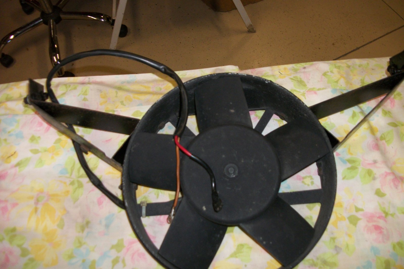 100_7030.JPG