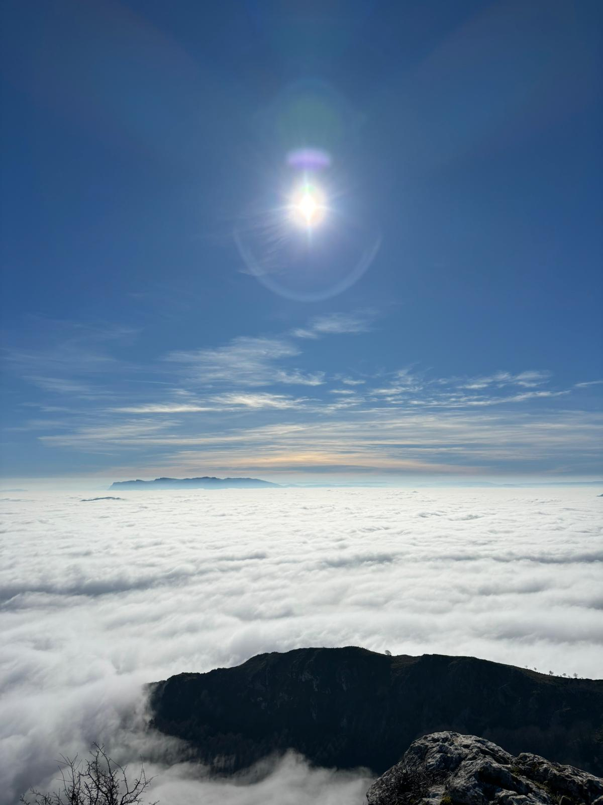 1707306520112.png