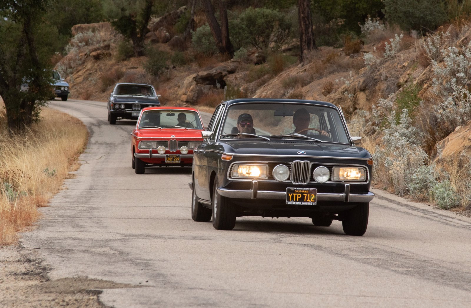 1CE9E5CD-E312-4F11-94A0-F4376A86C45A.jpeg 1CE9E5CD-E312-4F11-94A0-F4376A86C45A.jpeg