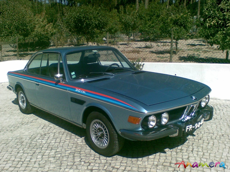 1e3ad80491.jpg
