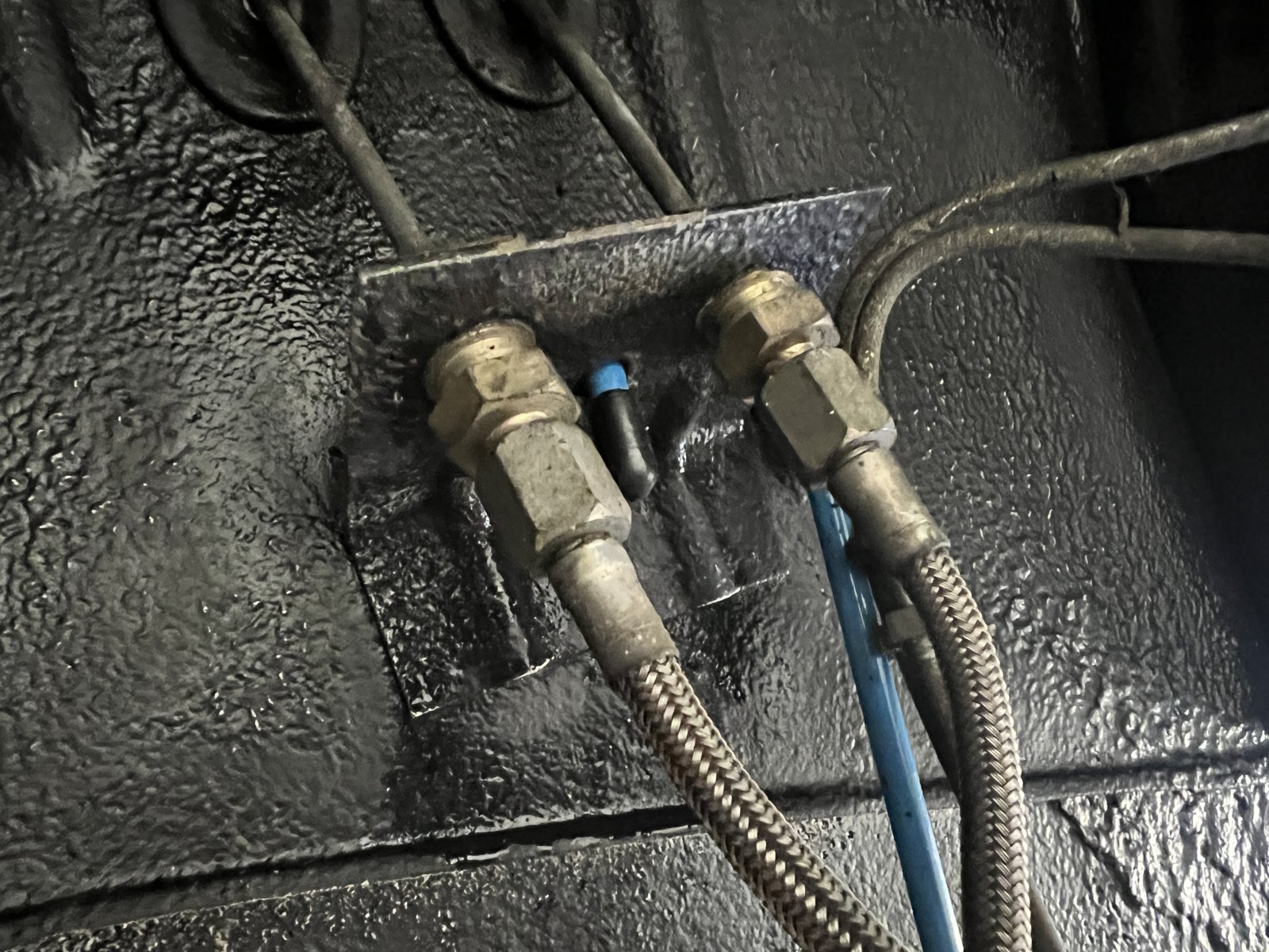 1FF6D4D5-0326-4C33-9D0D-DC95A589B815.jpeg 1FF6D4D5-0326-4C33-9D0D-DC95A589B815.jpeg