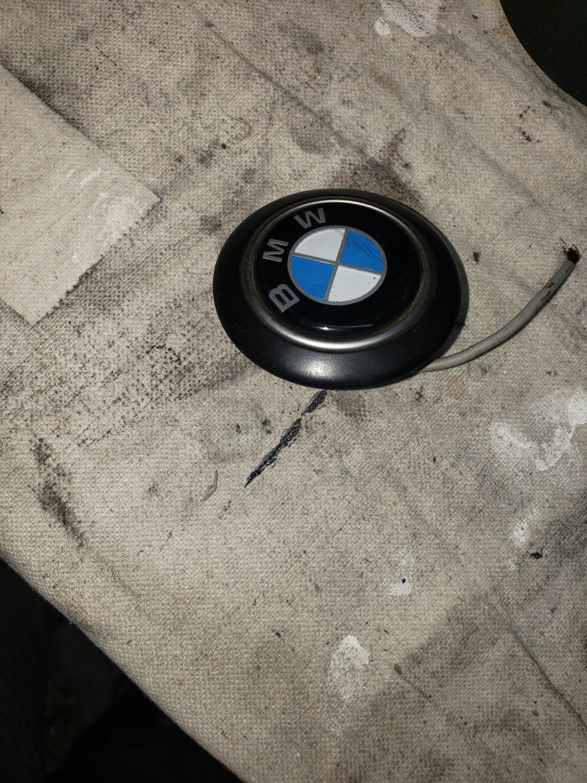 20200926_165611.jpg