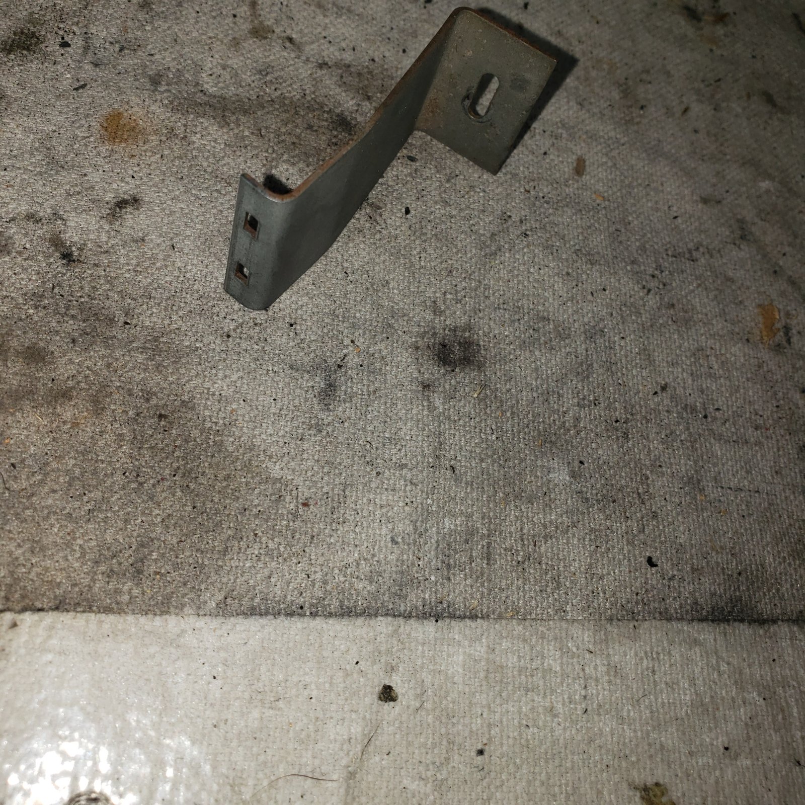 20201107_191914.jpg