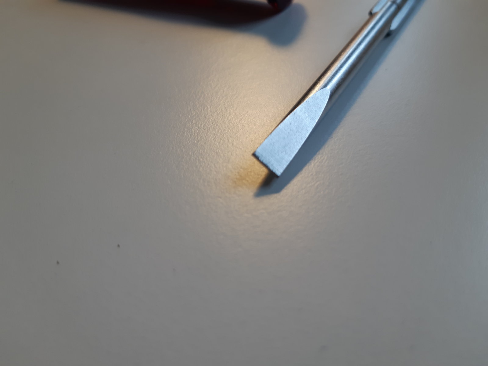 20210309_114656.jpg