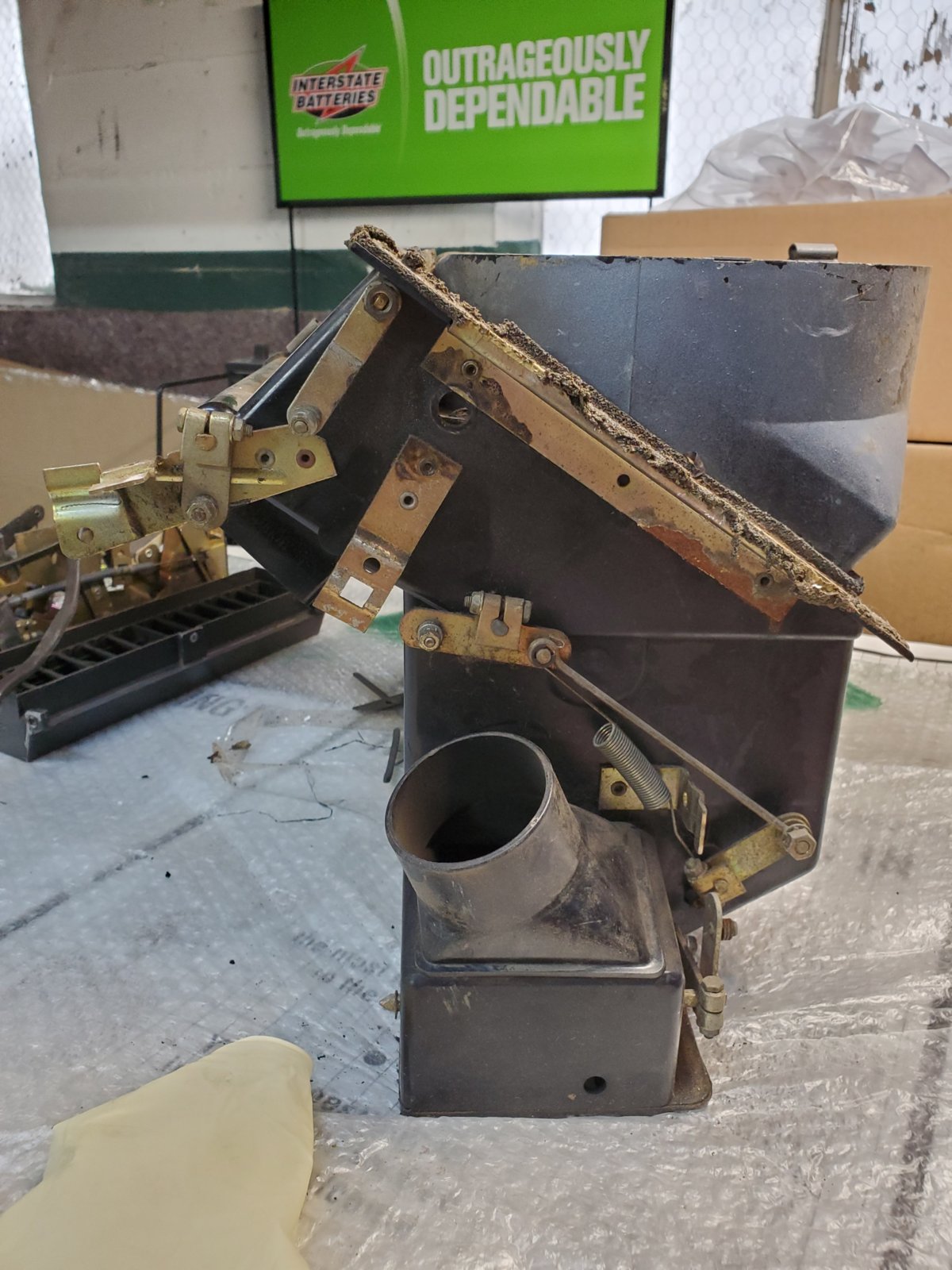 20210813_114423_resized.jpg 20210813_114423_resized.jpg