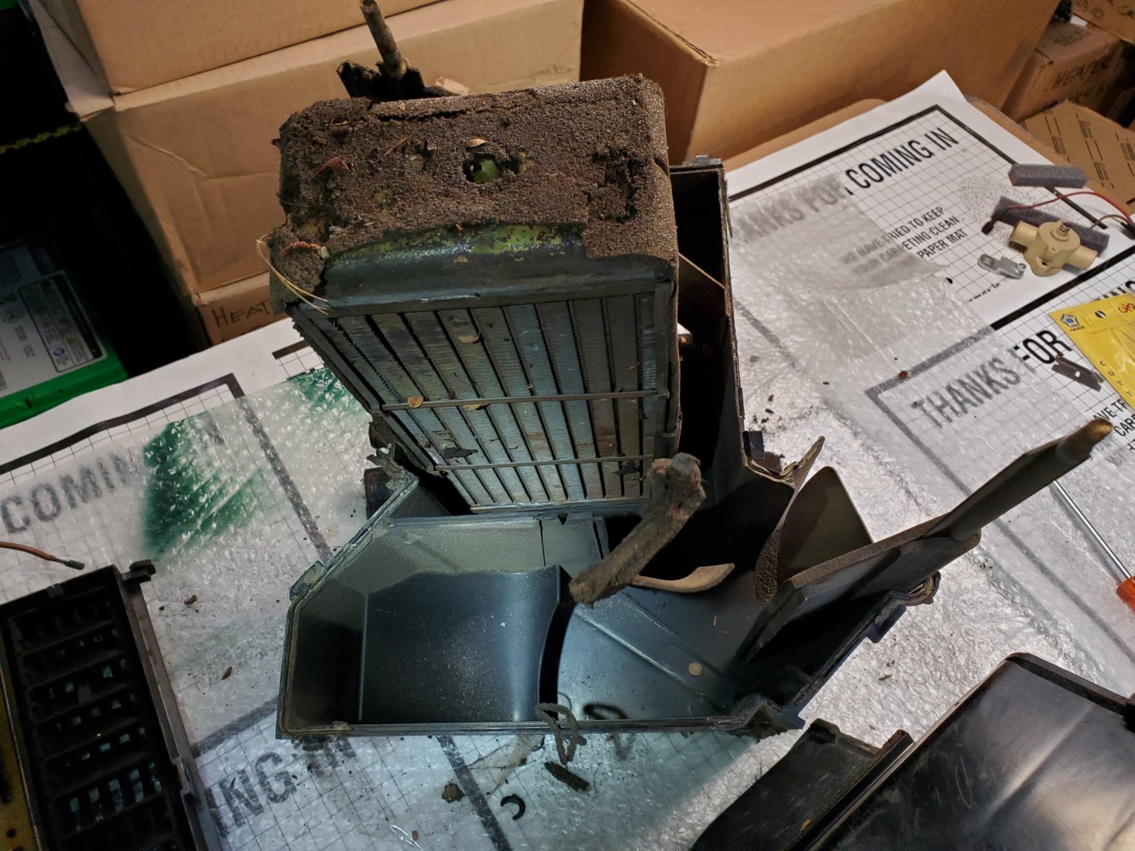 20210813_120055_resized.jpg 20210813_120055_resized.jpg