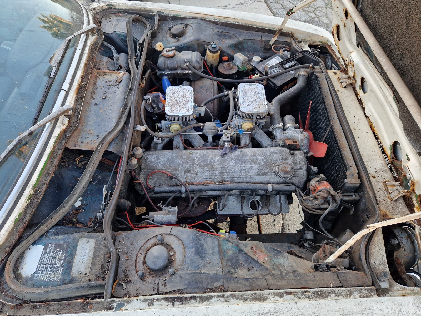20221116_160449.jpg 20221116_160449.jpg