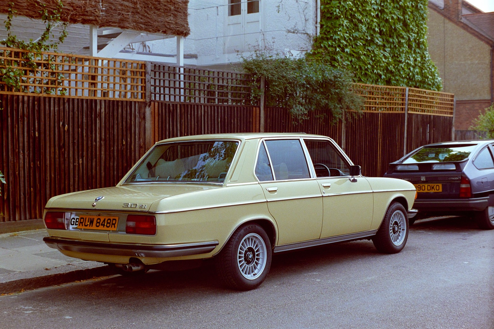 64.jpg