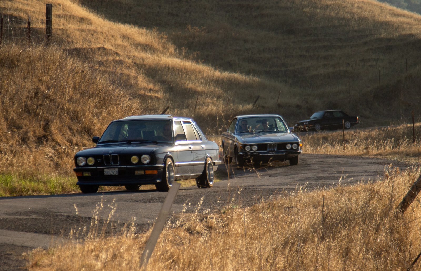 7A41BB98-CEA5-4A2A-B24C-86946F995A07.jpeg 7A41BB98-CEA5-4A2A-B24C-86946F995A07.jpeg