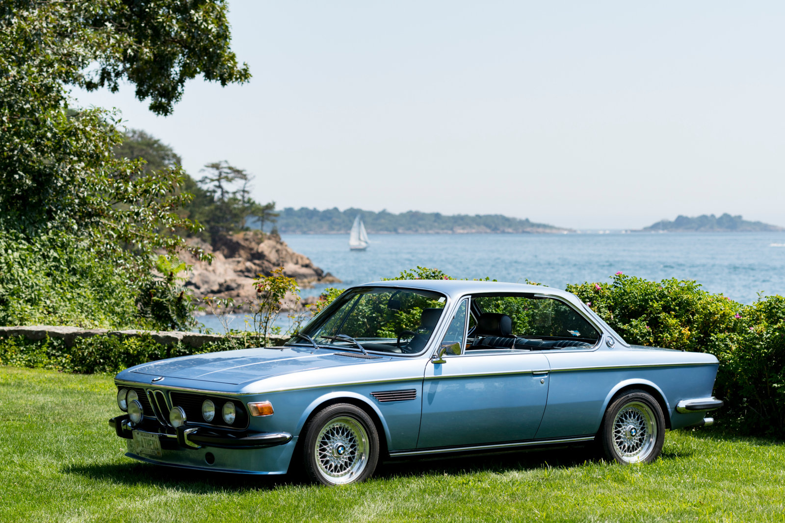 8Athena on Misselwood lawn.jpg