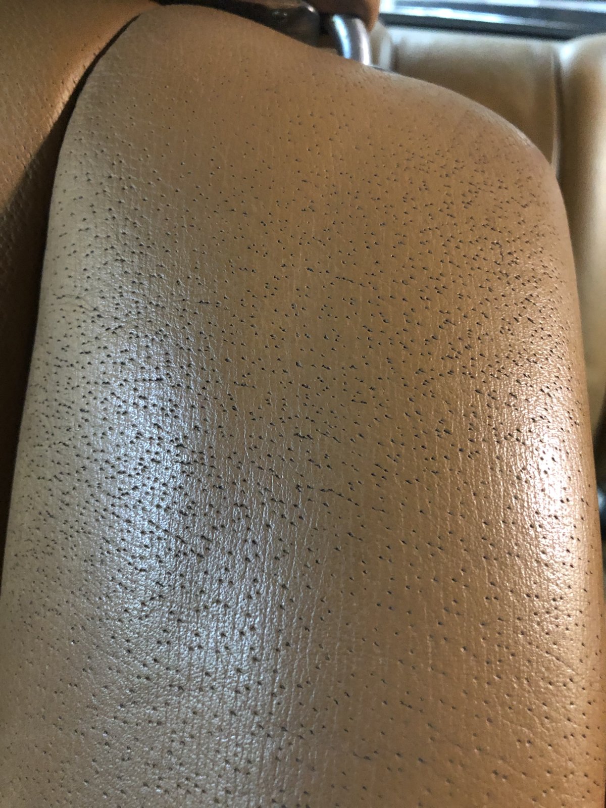 Upholstery Leather: What is and How to Choose? - BuyLeatherOnline