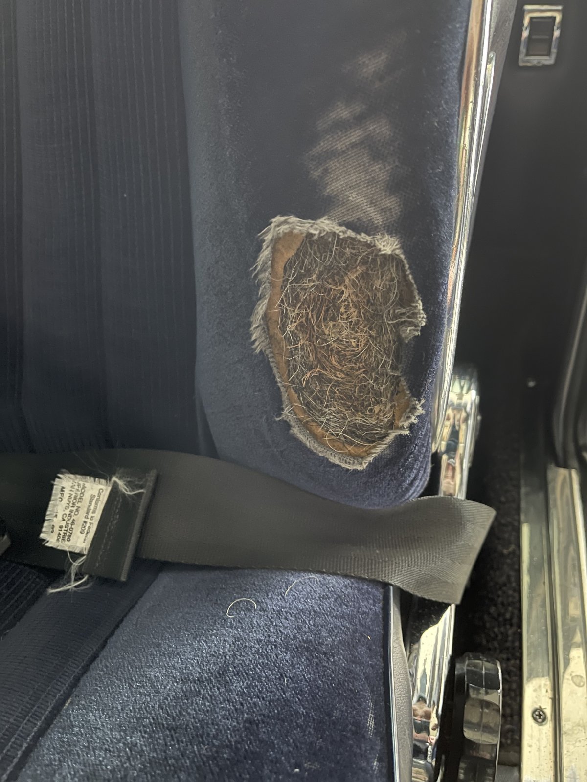 9C31B3A3-A76D-437A-86FE-798B42FBD1E6.jpeg 9C31B3A3-A76D-437A-86FE-798B42FBD1E6.jpeg