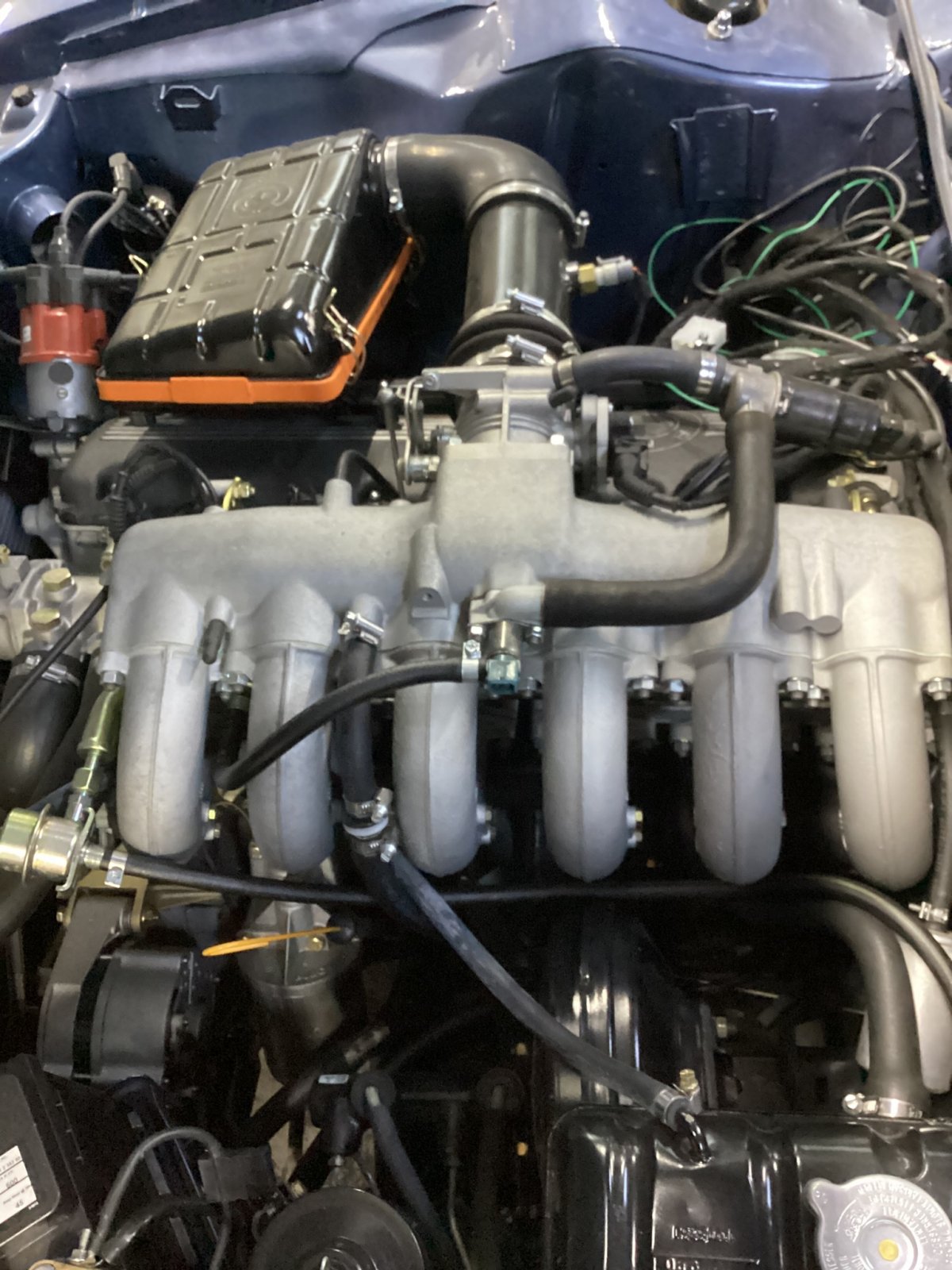 A5D965CC-20BF-4294-9533-90B9FCA10761.jpeg