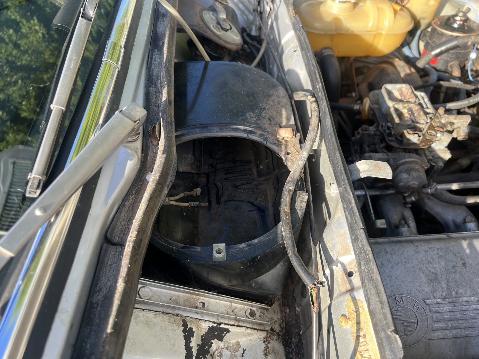 AC1B689A-09D5-4DB1-AE00-CF63A23F3F6C.jpeg AC1B689A-09D5-4DB1-AE00-CF63A23F3F6C.jpeg