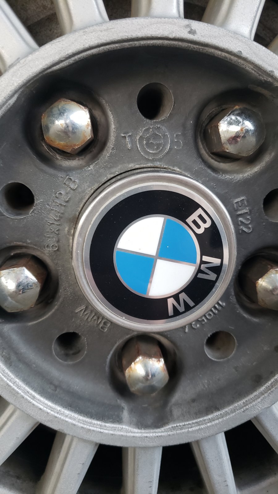 alpina1.jpg