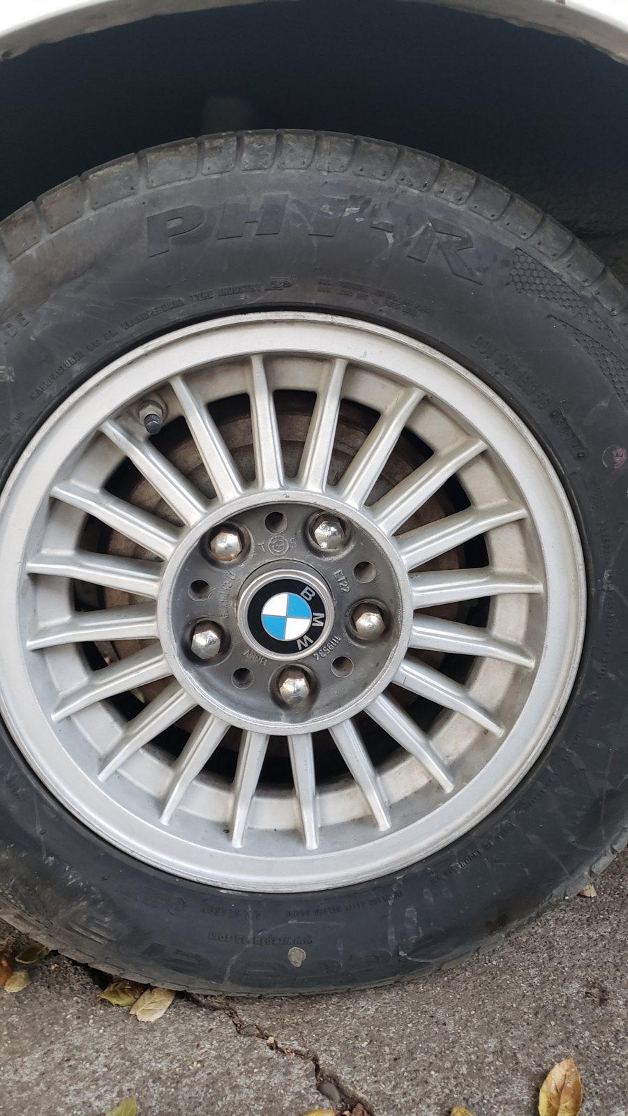 alpina2.jpg