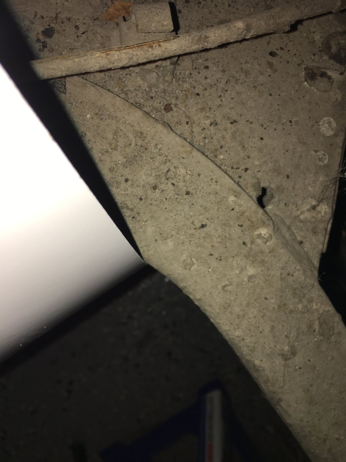 B1D98148-030D-479F-8E90-E9C6AFB5DDE2.jpeg