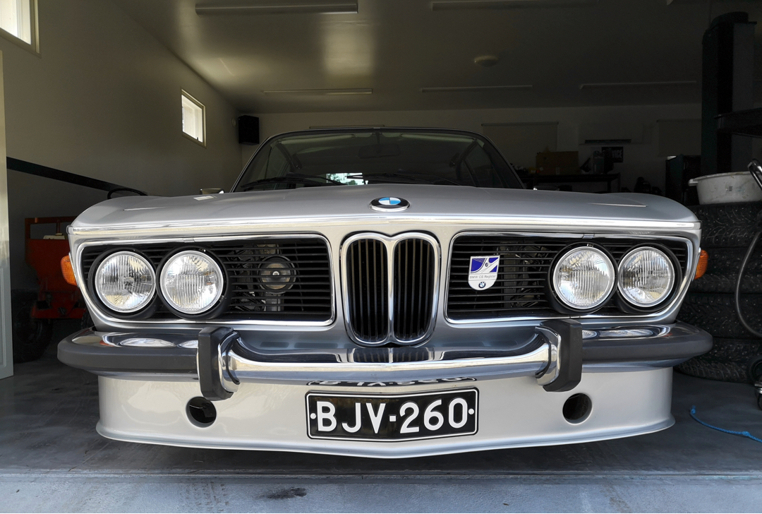 BMW five bar grill.jpeg