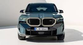 BMW grille.jpeg