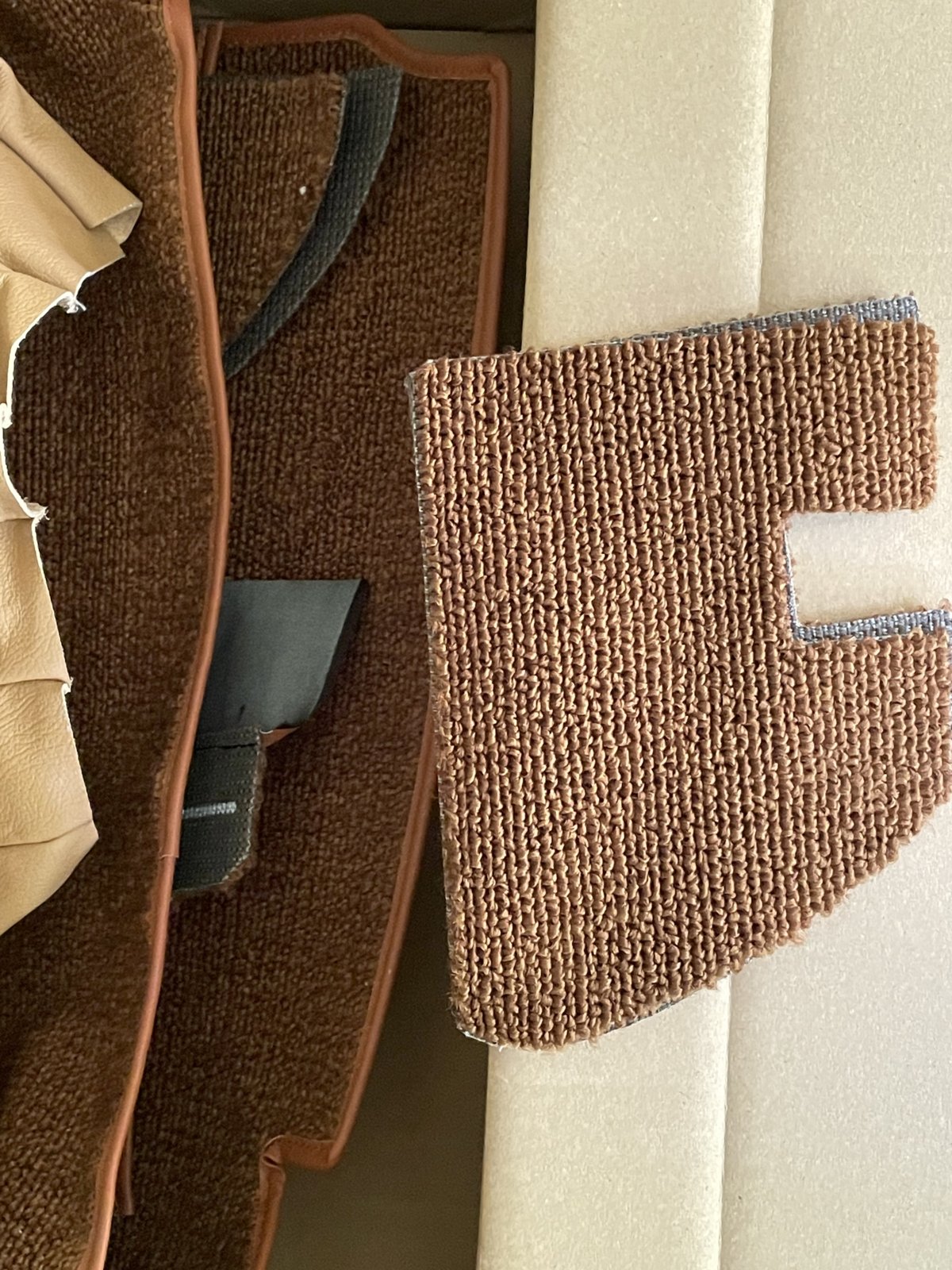 Carpet.JPG