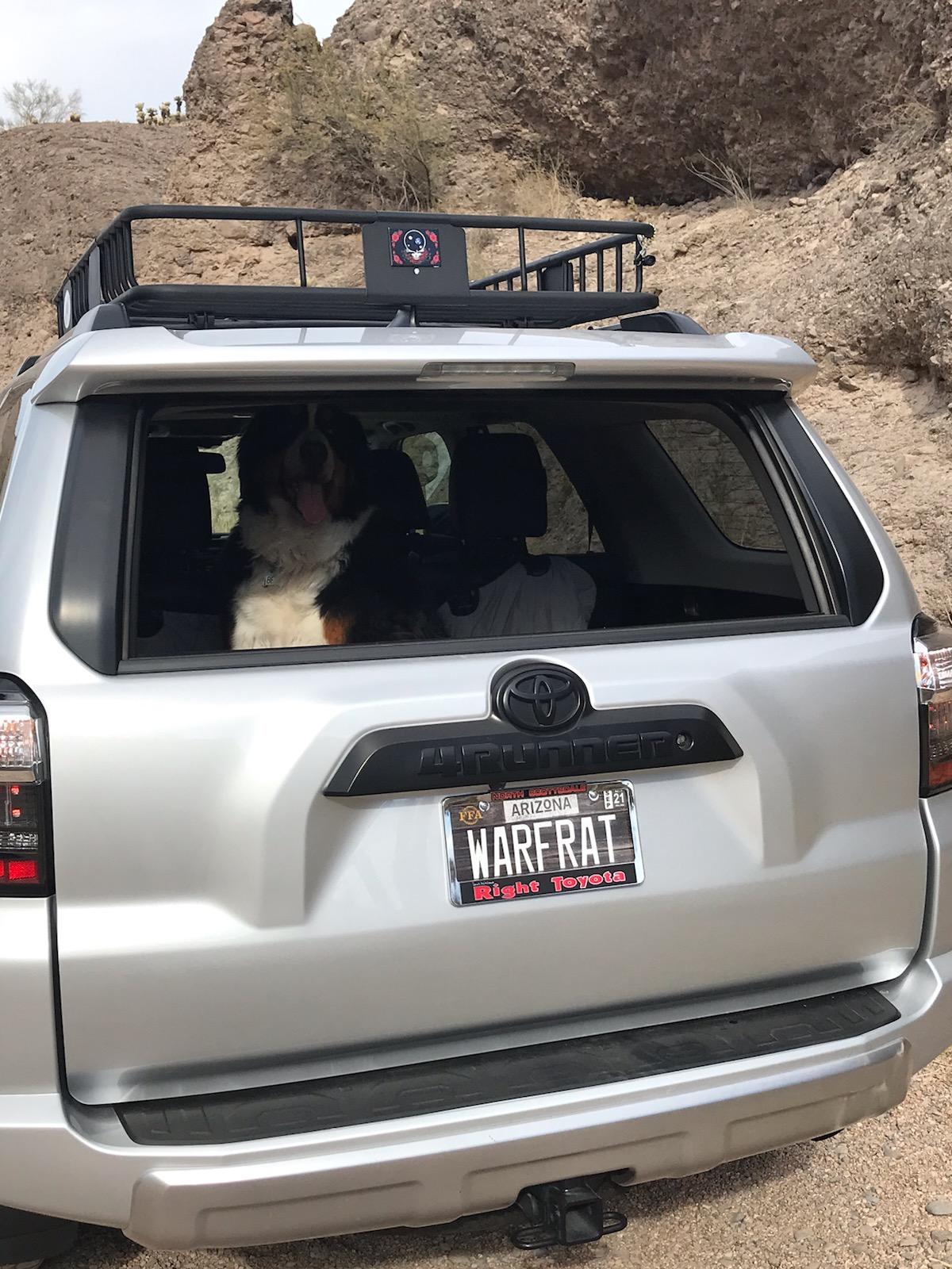 deadcars2.jpg deadcars2.jpg