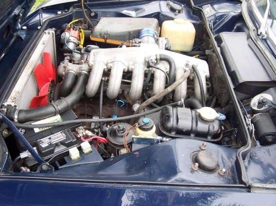 dsc_0007[1].jpg