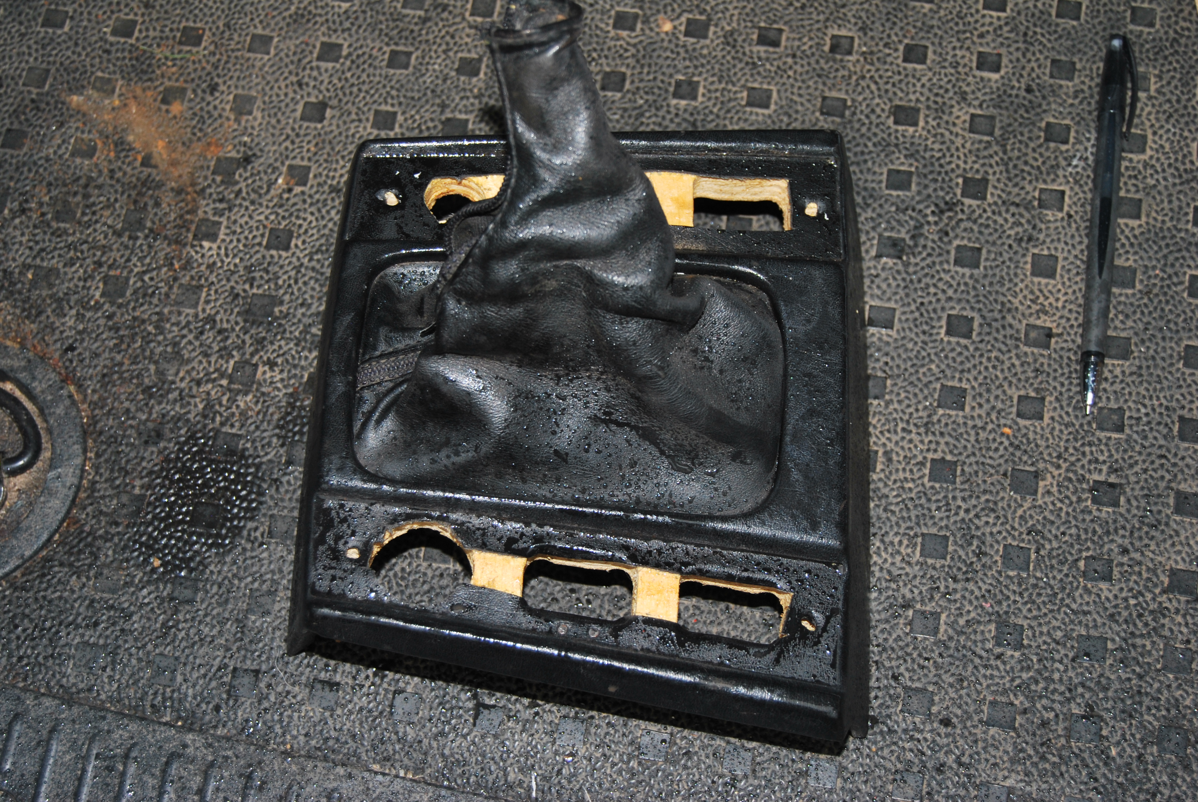 DSC_0139.JPG