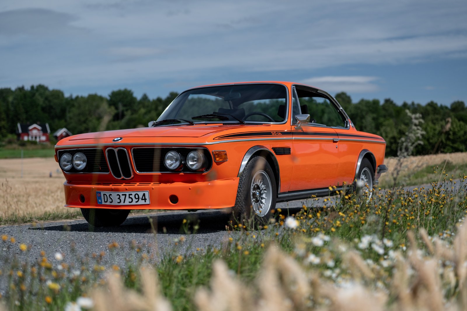 DSC_2521.jpg