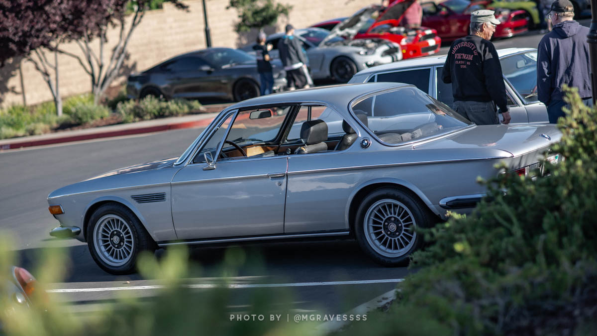 DSC_7365.jpg