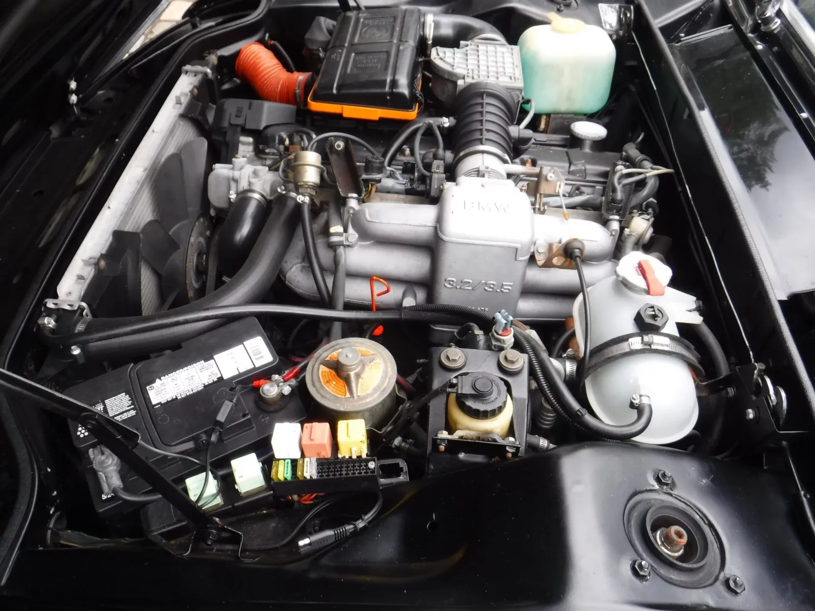 enginebay.webp