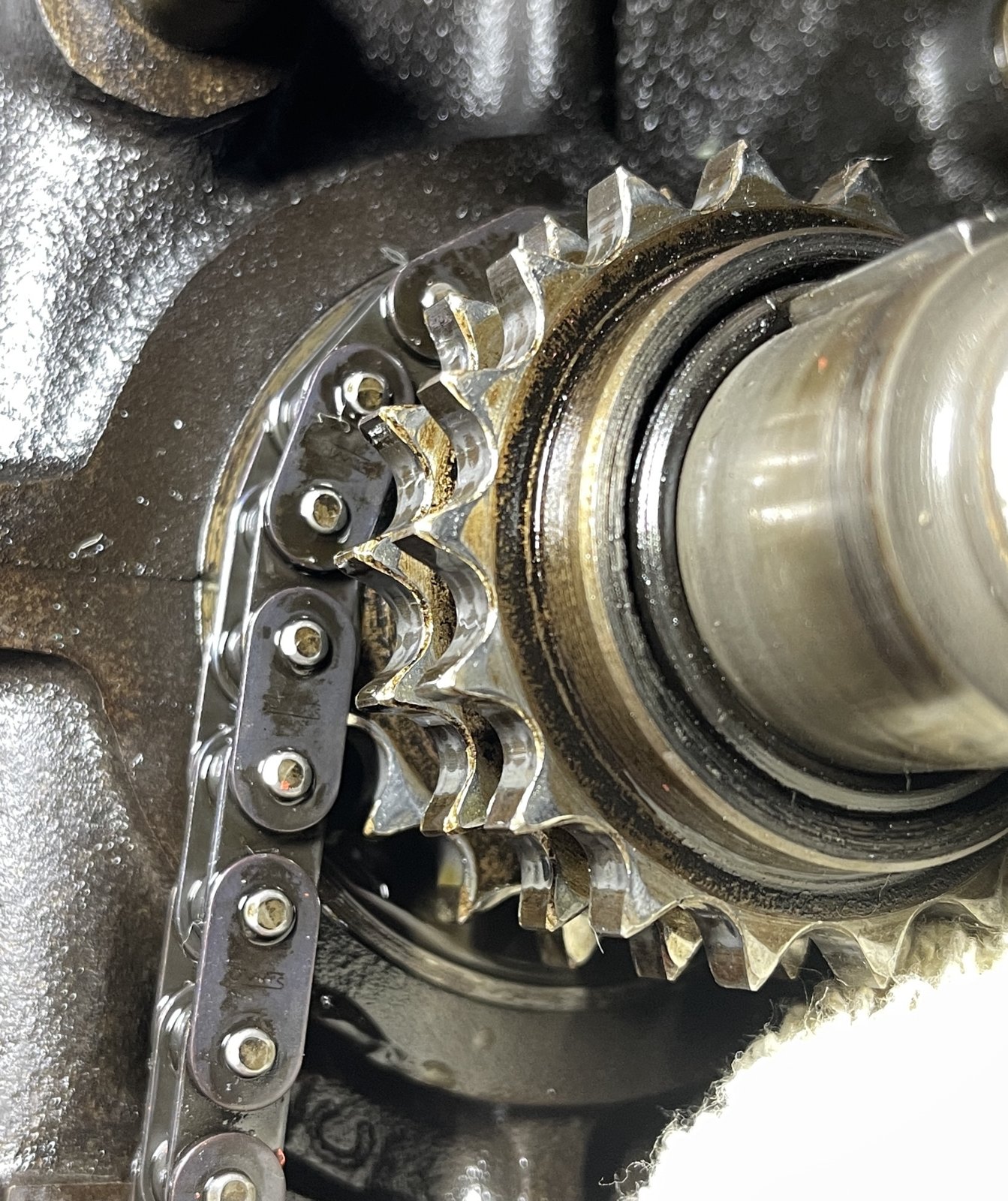 F48A9A0D-AA31-49B3-A0BE-1A208BAD9680.jpeg F48A9A0D-AA31-49B3-A0BE-1A208BAD9680.jpeg