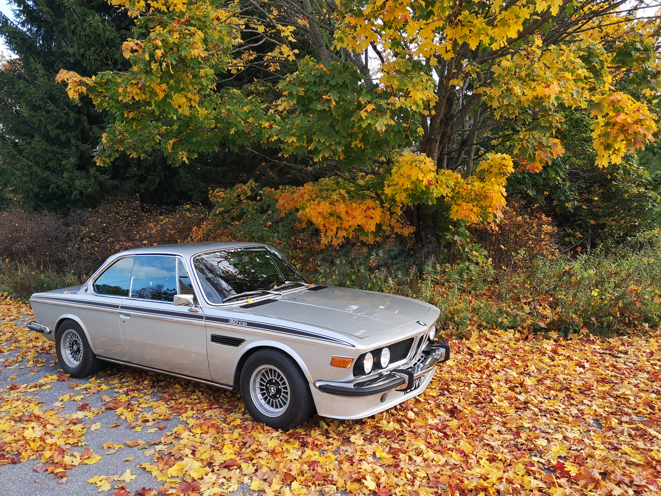 Fall BMW e9 small size 2.jpg Fall BMW e9 small size 2.jpg