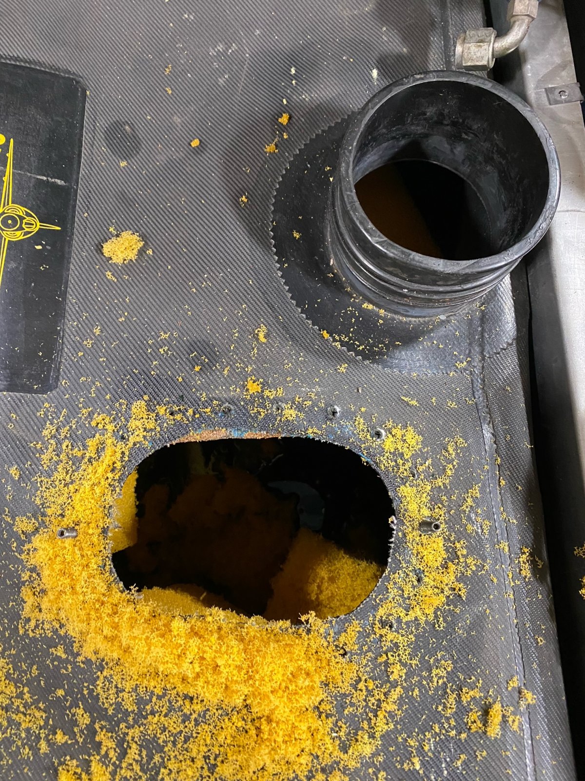 foam1.jpeg