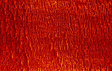 half-round-pommele_quilt.JPG