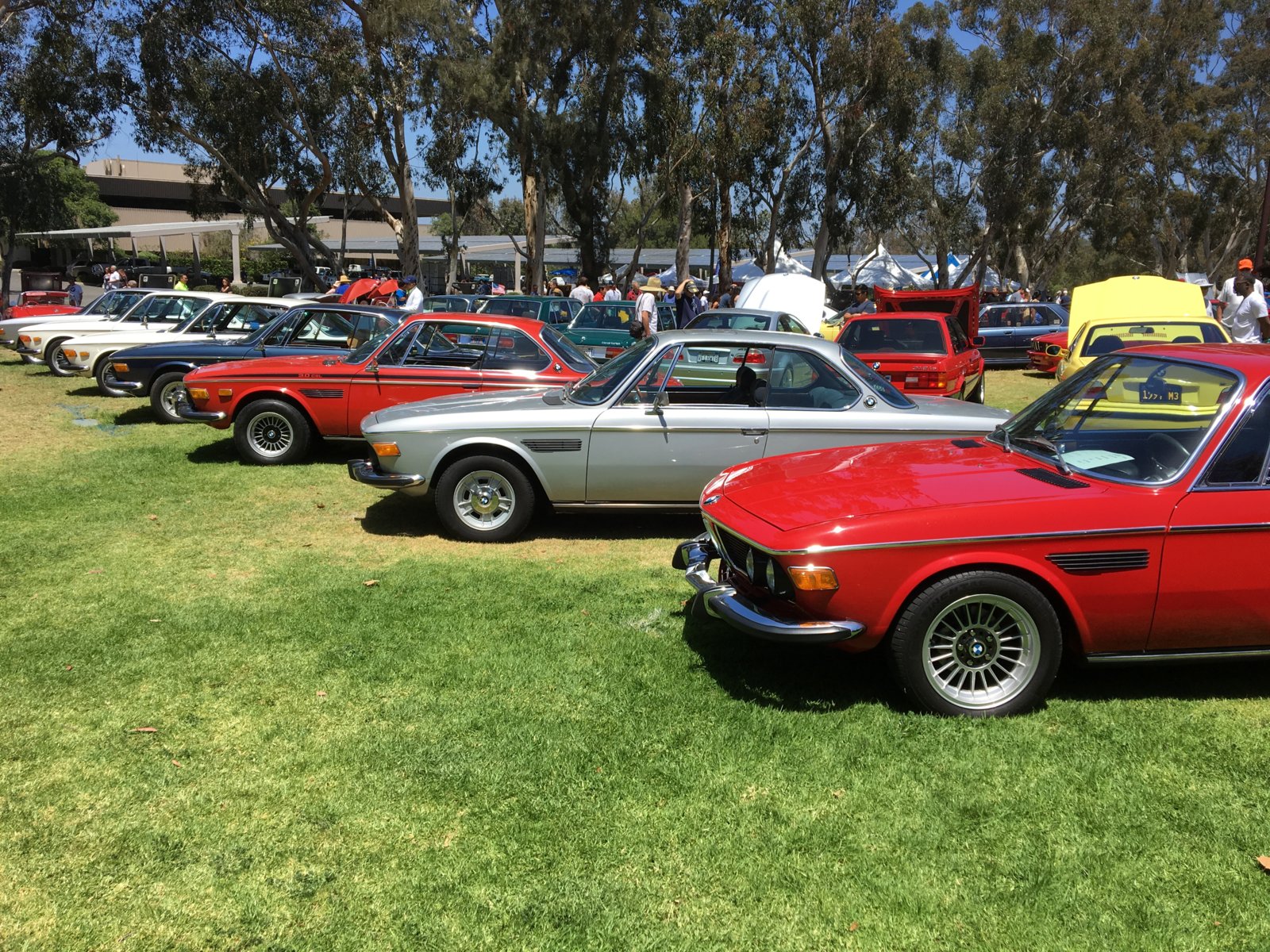 HB Concours 2018 (1).JPG