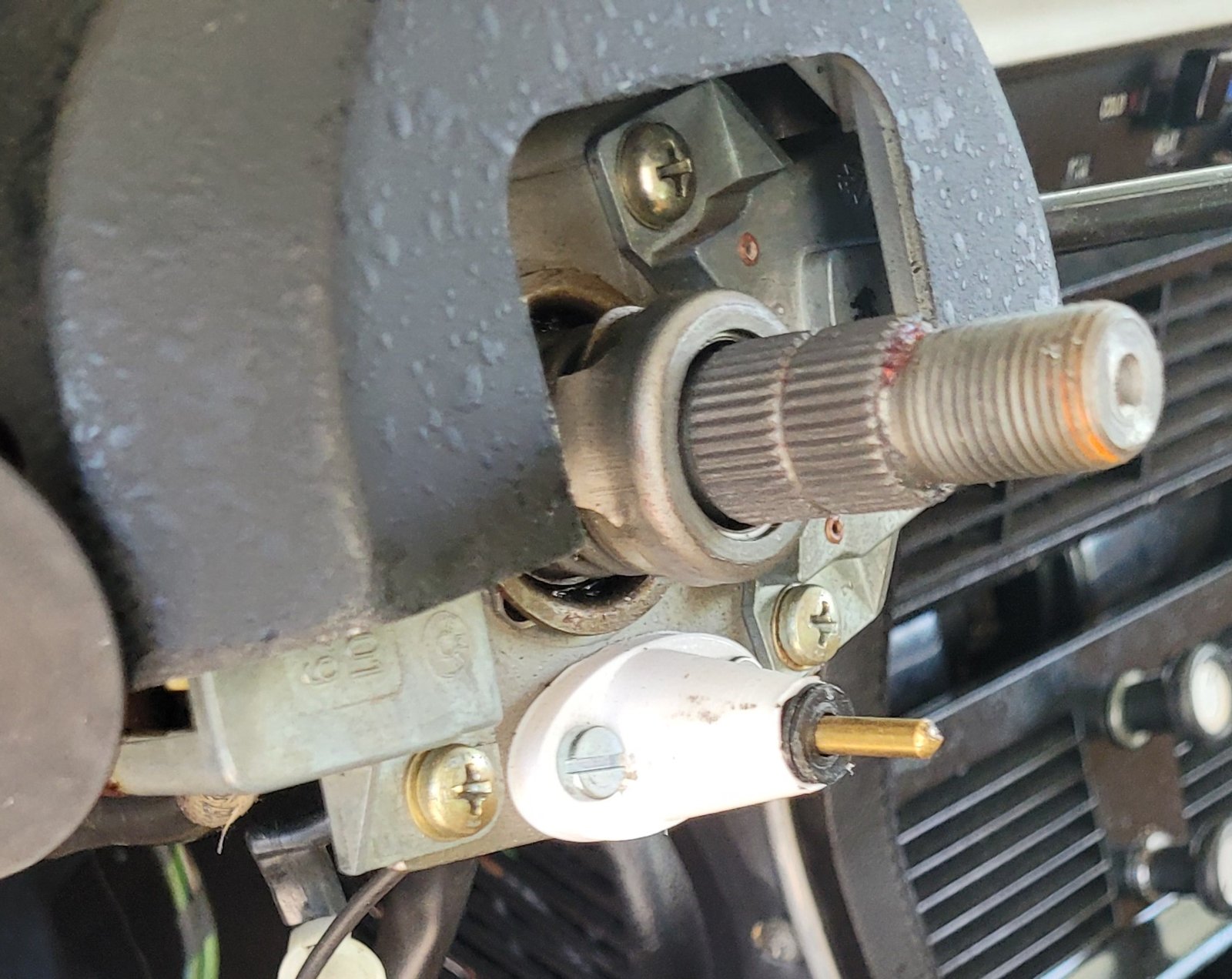 Horn Pin with Holder (1).jpg