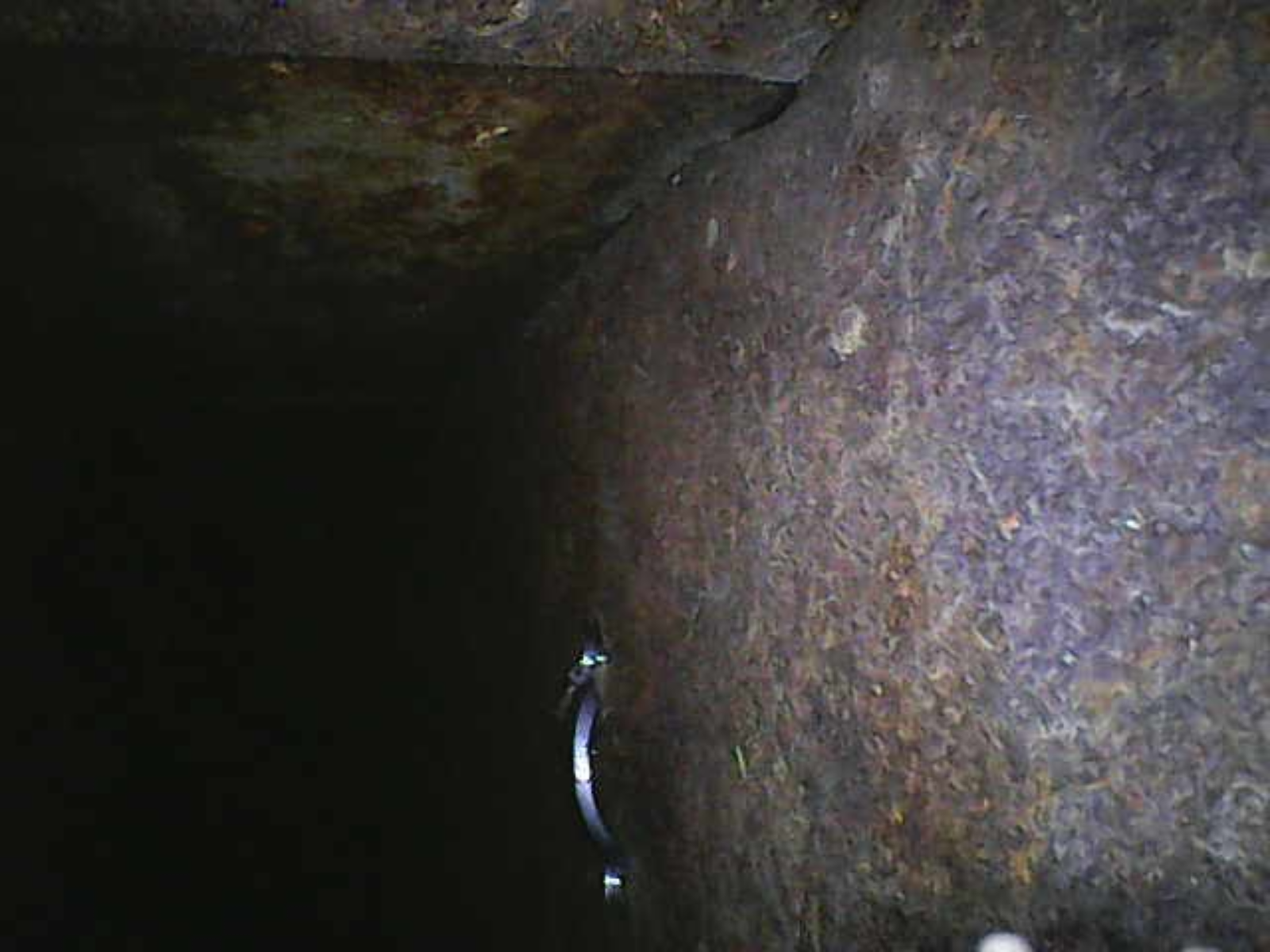 Image_2025-09-09 09_49_17_889.png