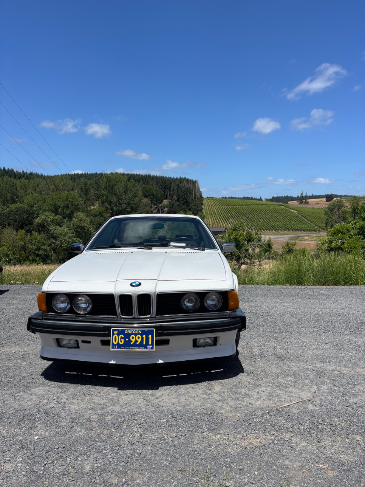IMG_0959.jpeg