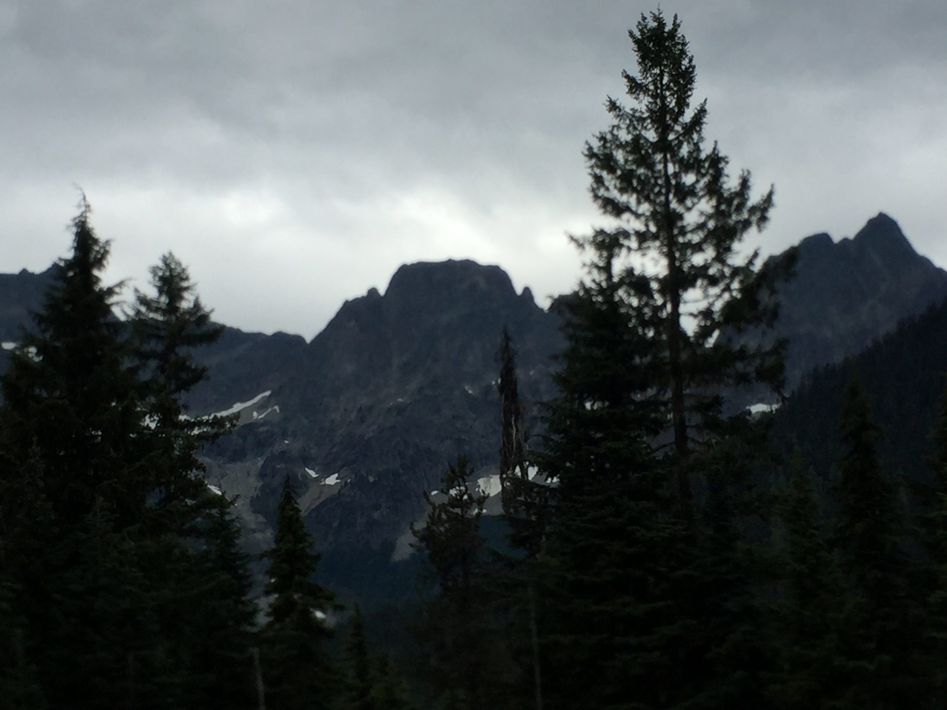 IMG_1052.jpg