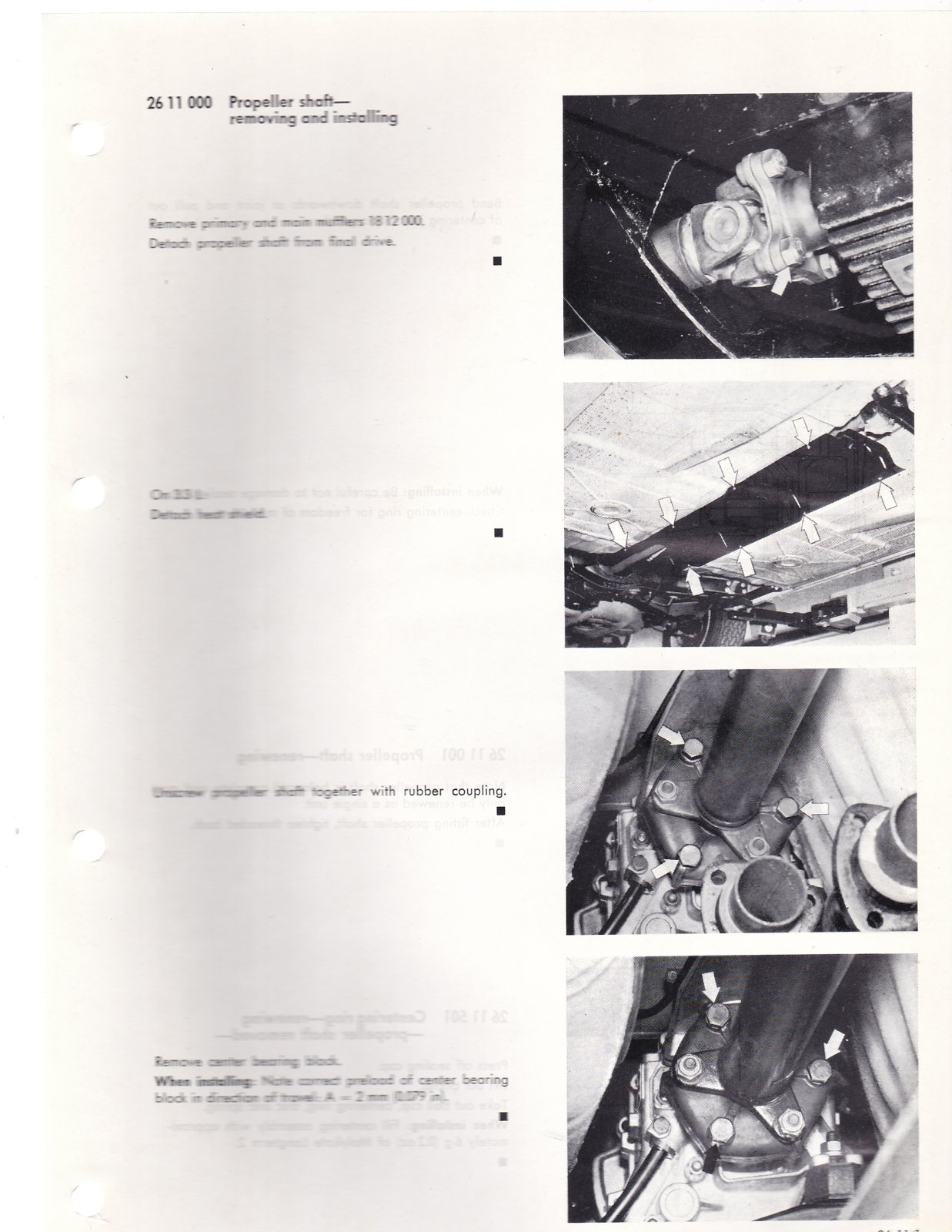IMG_1213.jpeg