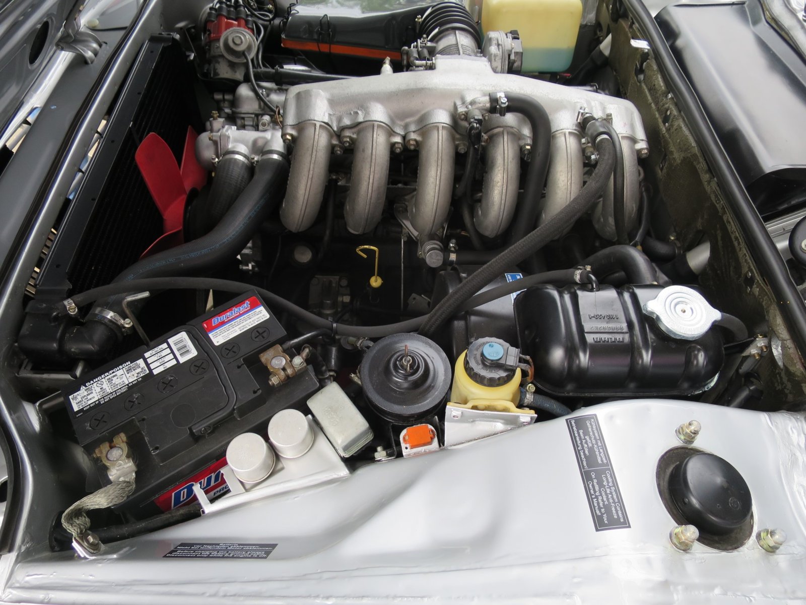 IMG_1595 (Custom).jpg