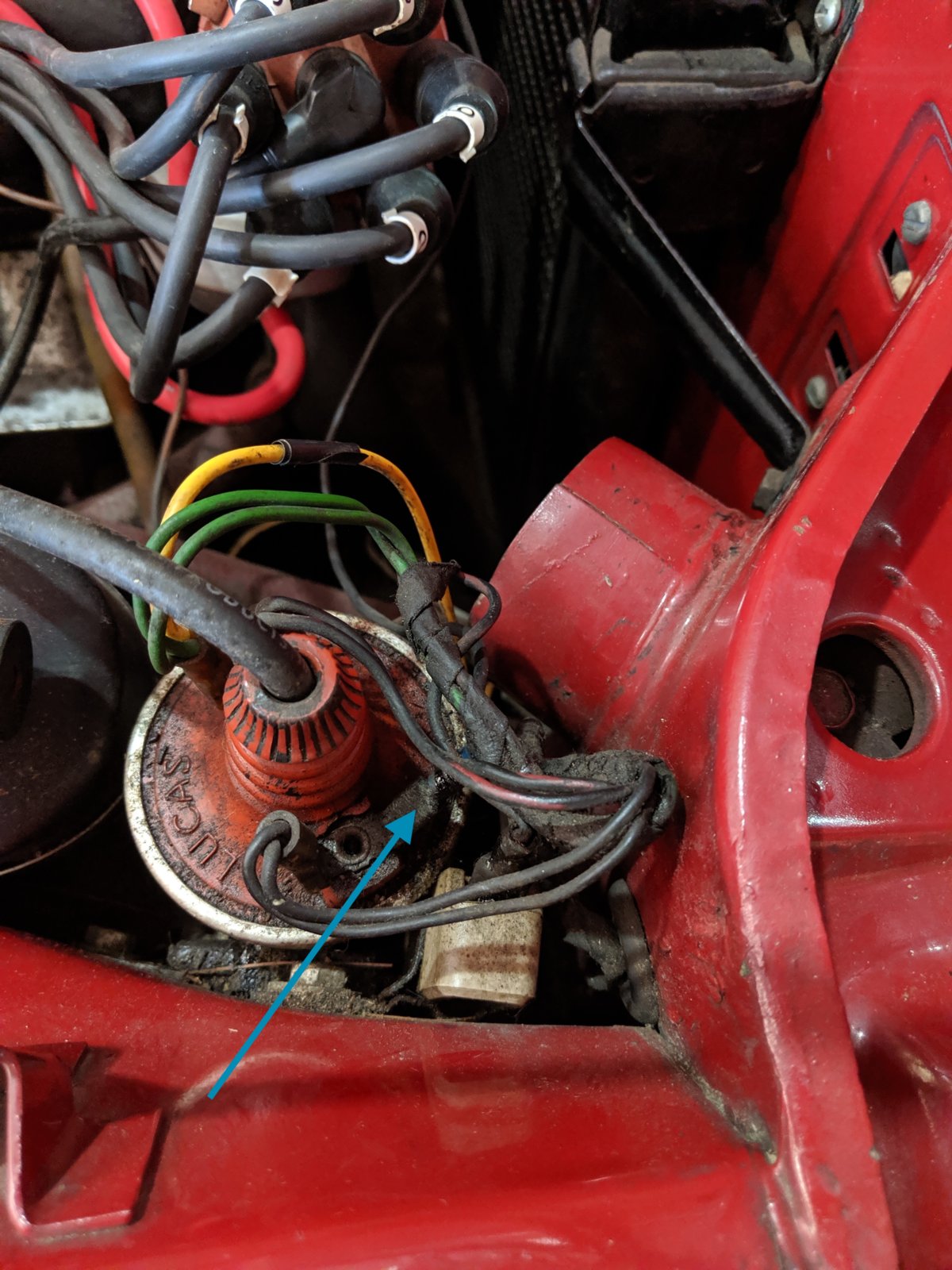 IMG_20190801_155130 copy.jpg