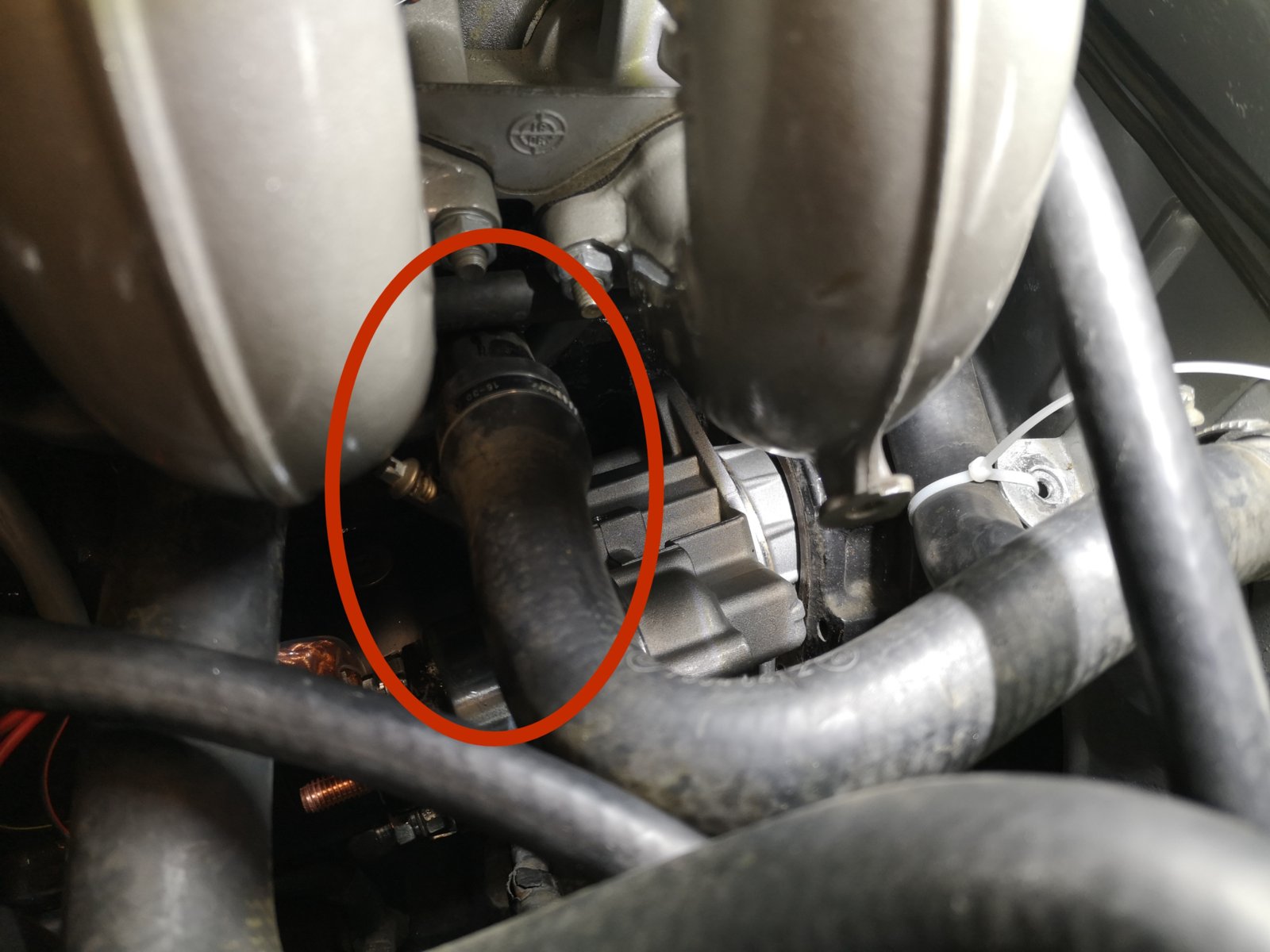 IMG_20220122_135511_resized_20220125_093207163.jpg IMG_20220122_135511_resized_20220125_093207163.jpg