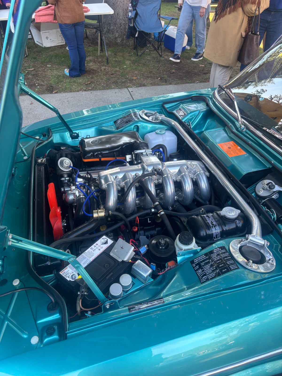 IMG_2433.jpeg
