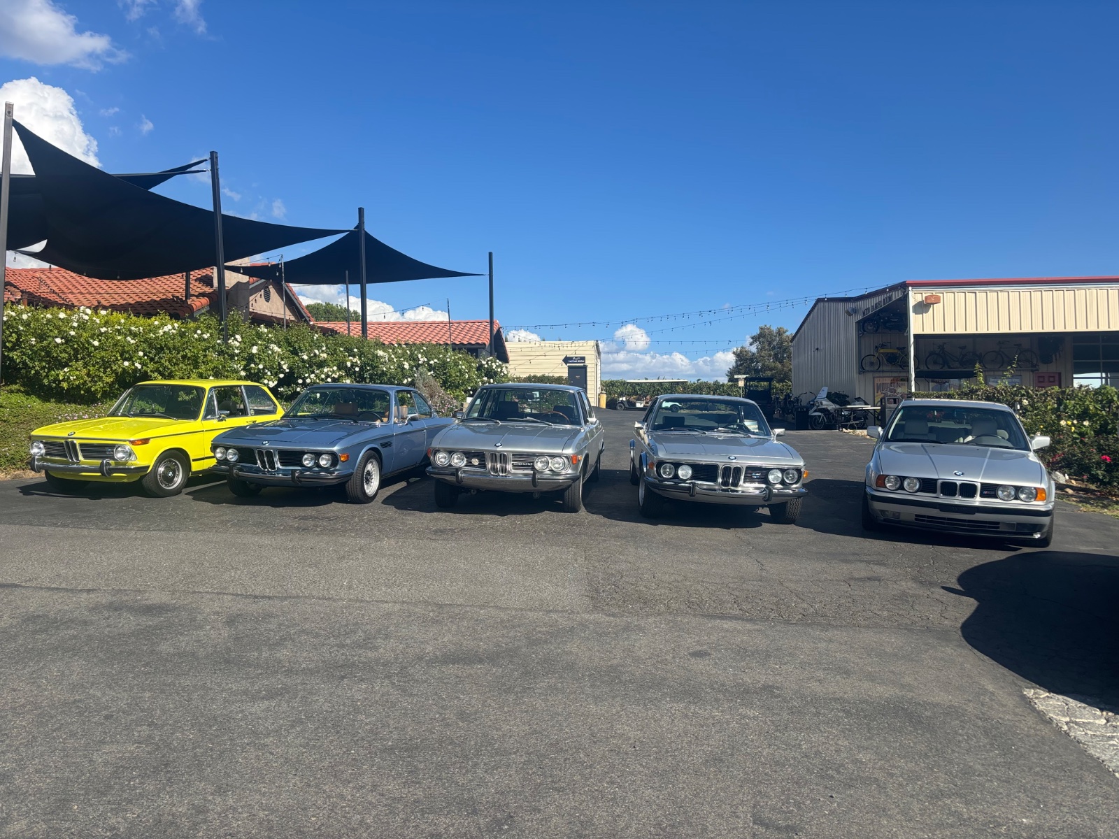 IMG_2472.jpeg