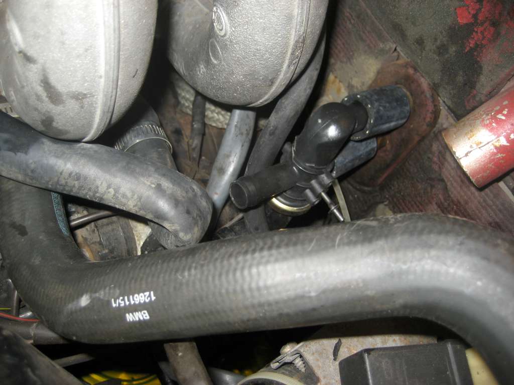 IMG_2733-1024.jpg IMG_2733-1024.jpg