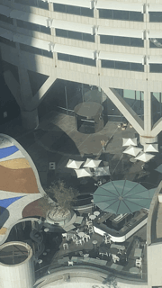 IMG_3175.gif