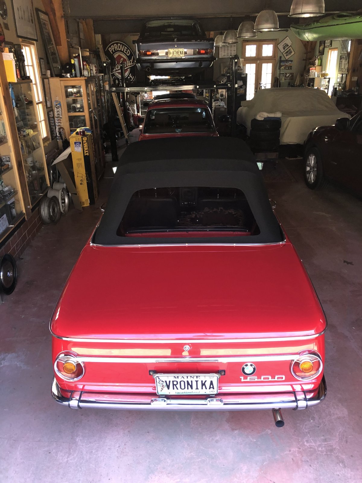 IMG_3429.jpeg IMG_3429.jpeg