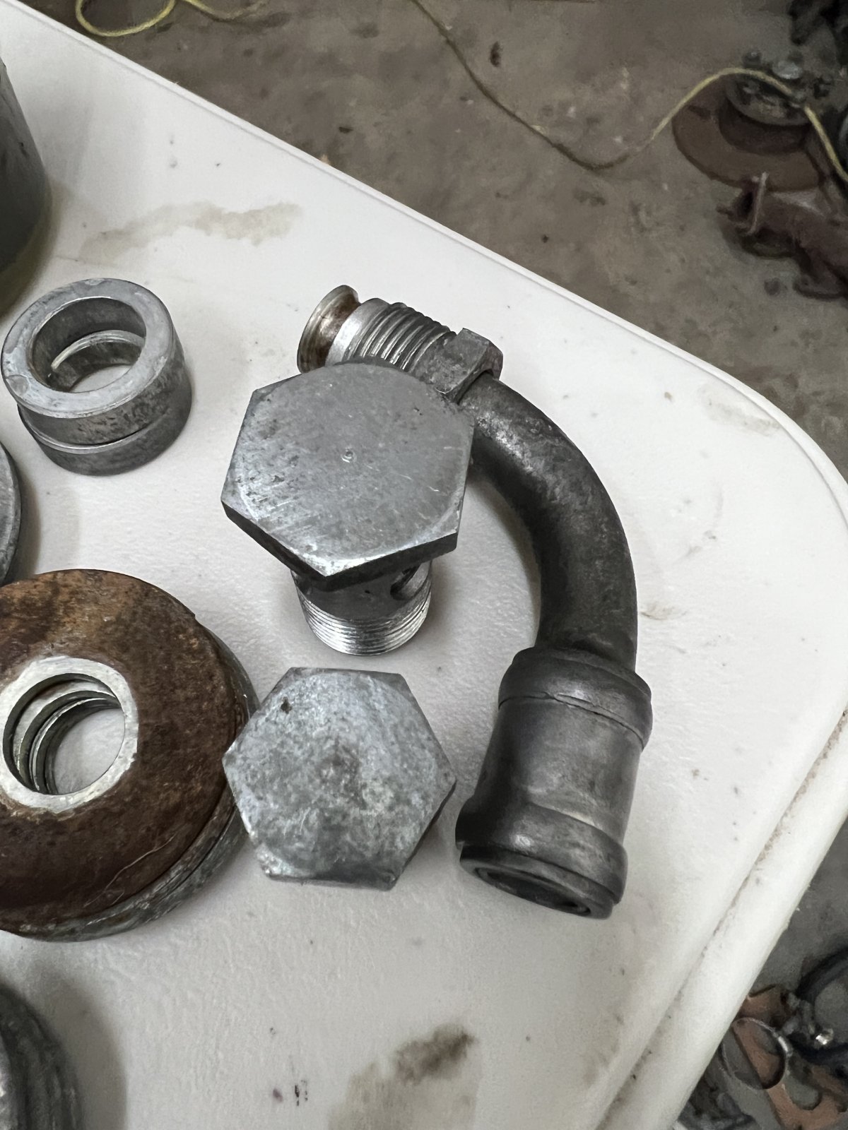 IMG_3769.jpeg IMG_3769.jpeg